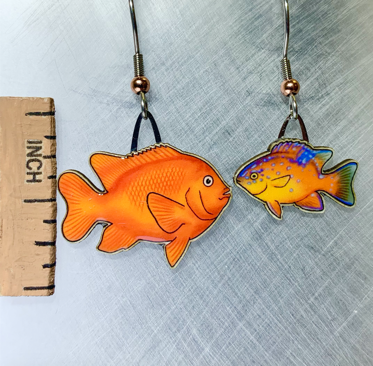 Picture shown is of 1 inch tall pair of earrings of the fish the Garibaldi.