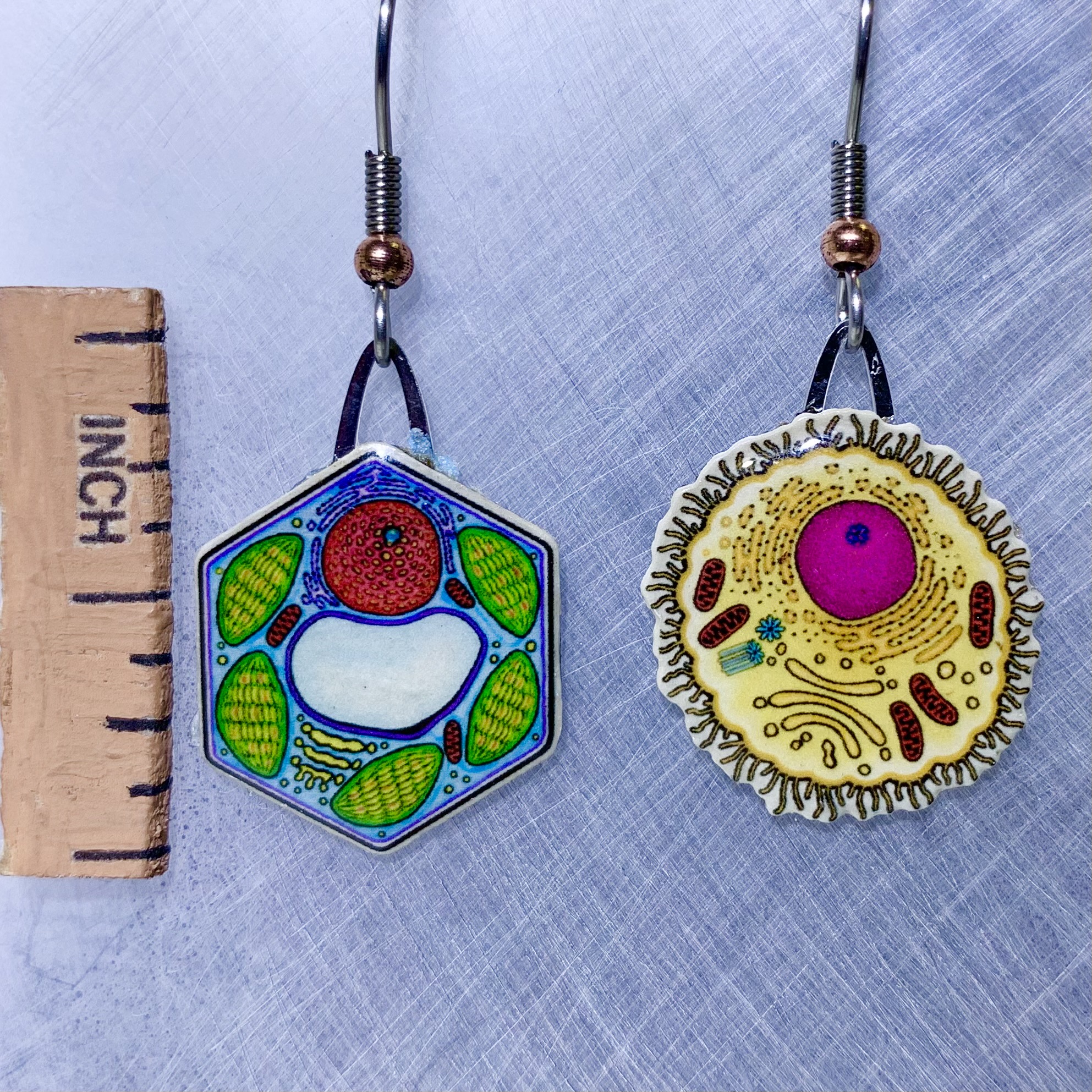 Picture shown is of 1 inch tall pair of earrings of Plant & Animal Cells.