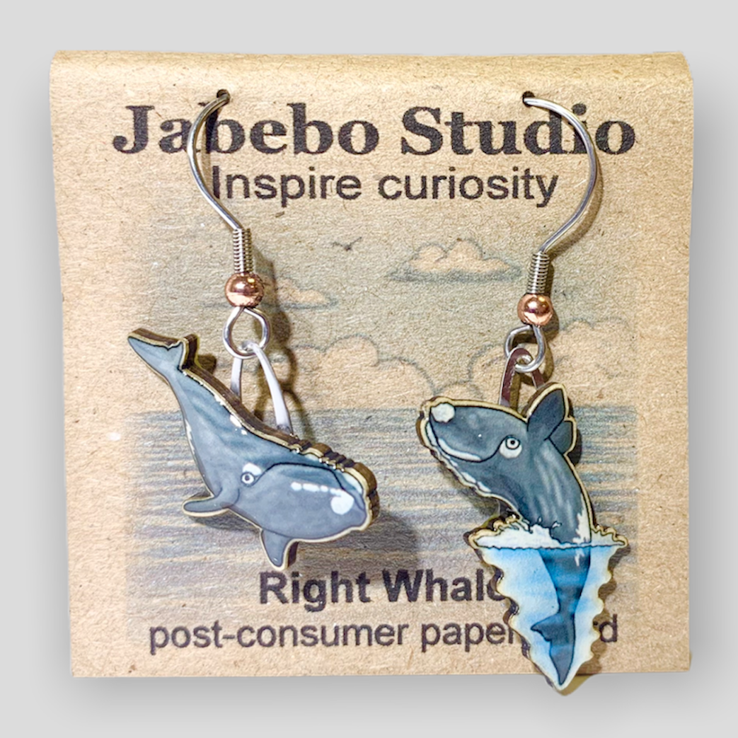 Picture shown is of 1 inch tall pair of earrings of the marine animal the Right Whale.