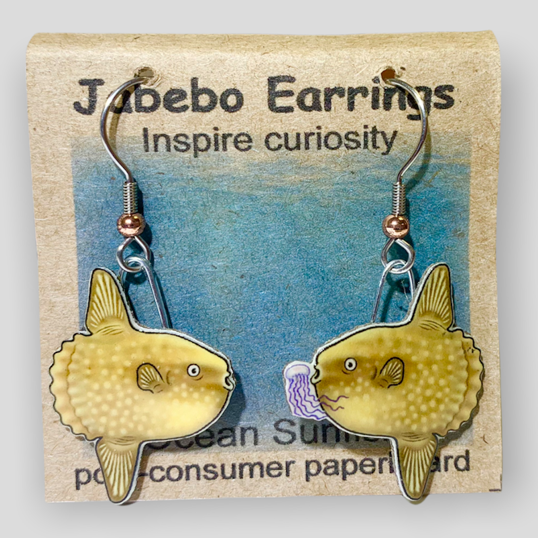 Picture shown is of 1 inch tall pair of earrings of the fish the Ocean Sunfish Gold.