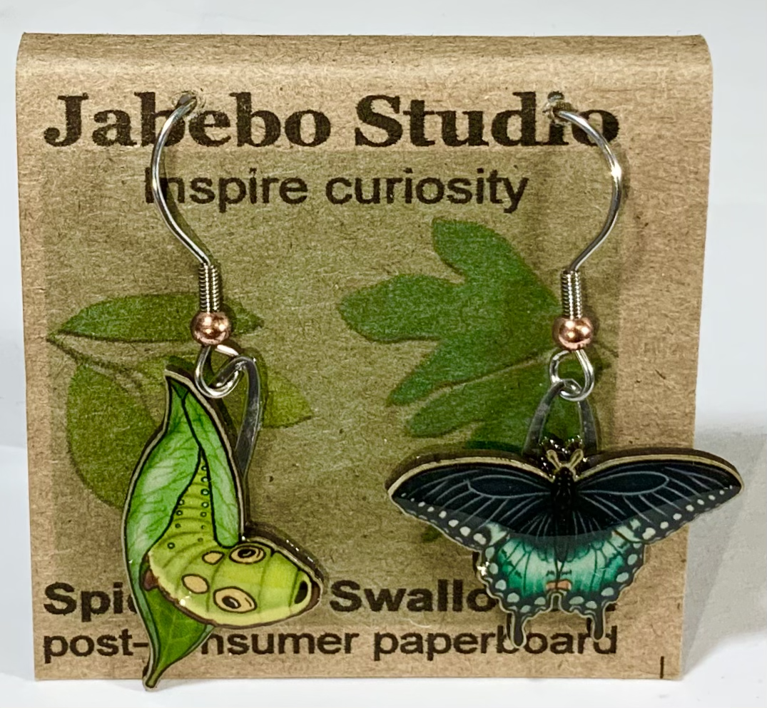Picture shown is of 1 inch tall pair of earrings of the bug the Spicebush Swallowtail Butterfly.