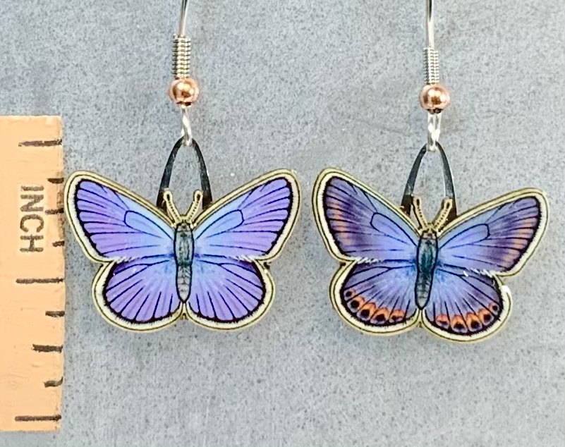 Picture shown is of 1 inch tall pair of earrings of the bug the Karner Blue Butterfly.