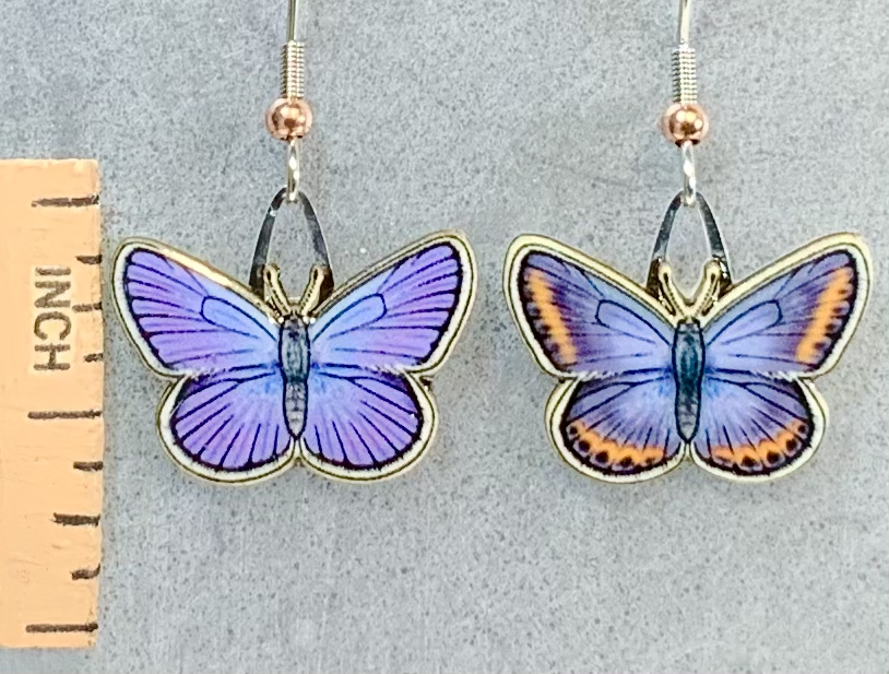 Picture shown is of 1 inch tall pair of earrings of the bug the Melissa Blue Butterfly.