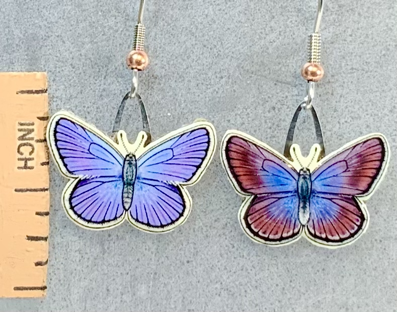Picture shown is of 1 inch tall pair of earrings of the bug the Mission Blue Butterfly.