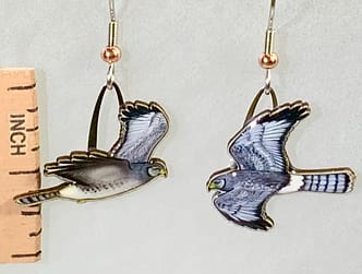 Picture shown is of 1 inch tall pair of earrings of the bird the Northern Harrier.