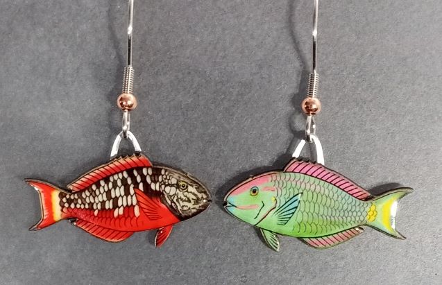 Picture shown is of 1 inch tall pair of earrings of the fish the Stoplight Parrotfish.