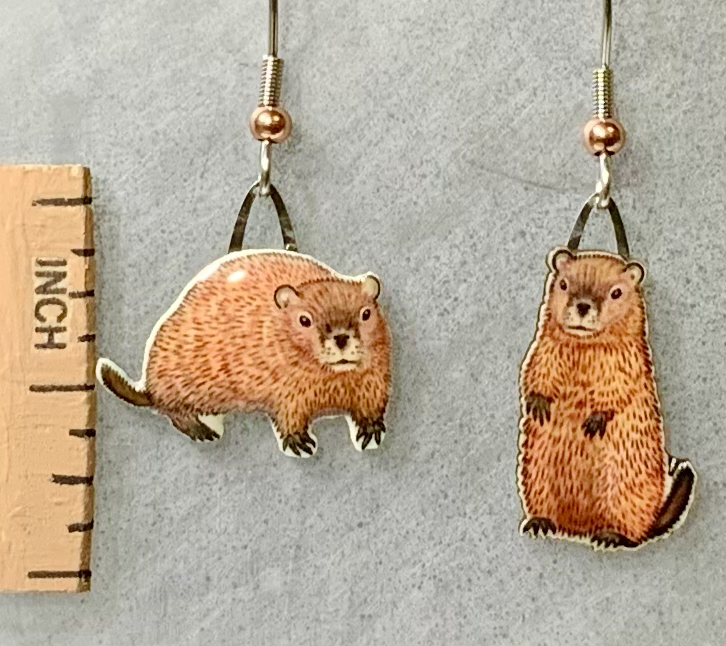 Picture shown is of 1 inch tall pair of earrings of the animal the Groundhog.