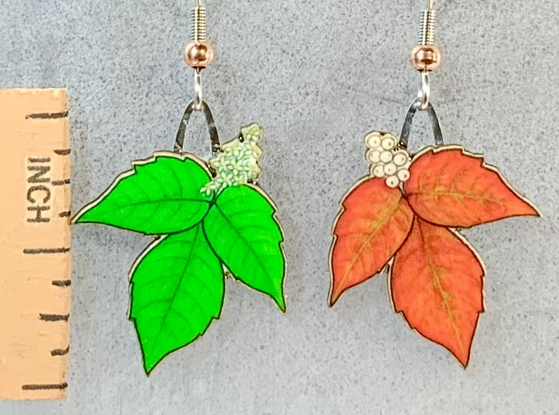 Picture shown is of 1 inch tall pair of earrings of Poison Ivy.